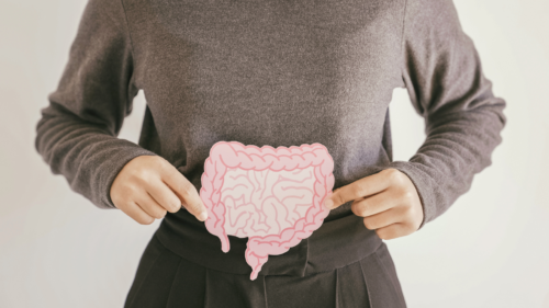 A person holds a paper illustration of the digestive tract against their abdomen.