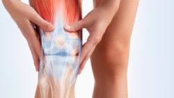 Hands hold a knee with an overlay illustration showing the joint, muscles, and ligaments.